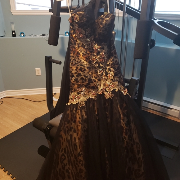 Prom Dress - Picture 3 of 4
